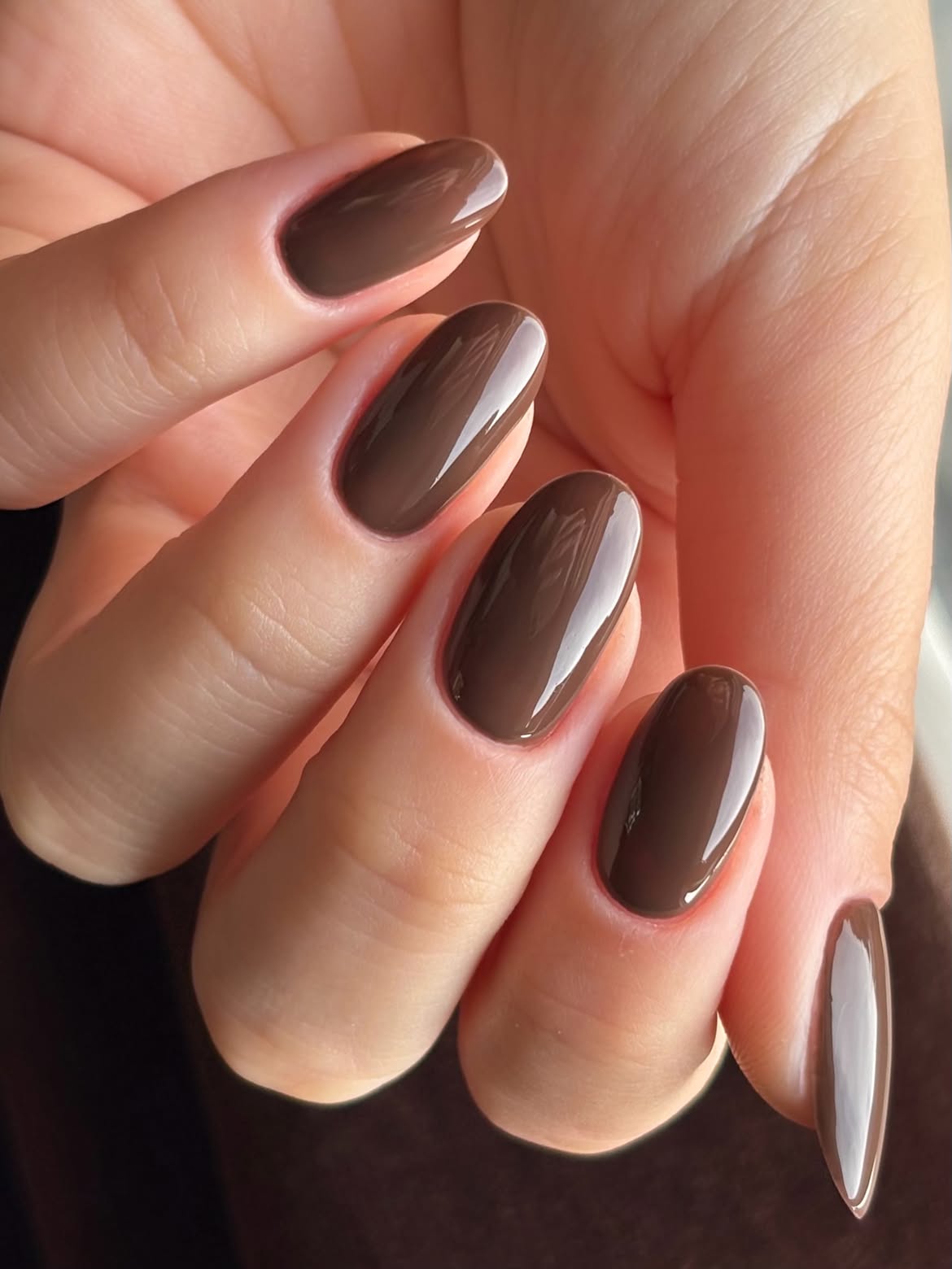 Glossy Rich Chocolate Brown Oval Nails