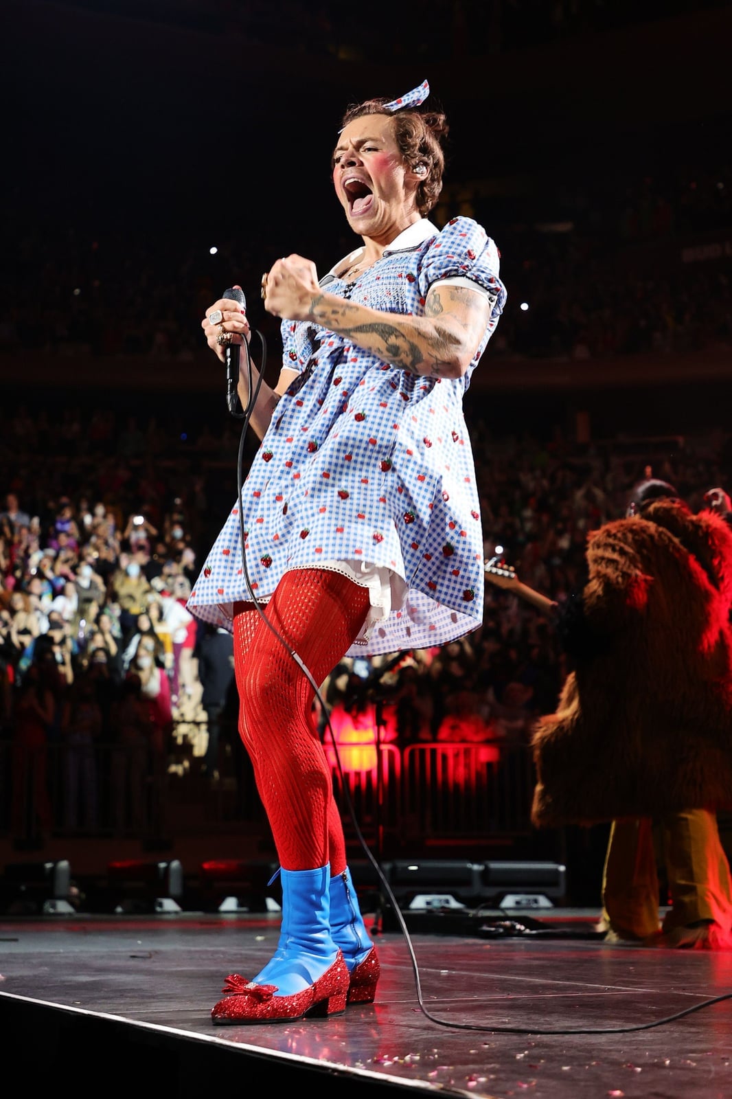 Blue Gingham Dress and Red Stockings Costume Blue Gingham Dress and Red Stockings Costume — Harry Styles Outfits