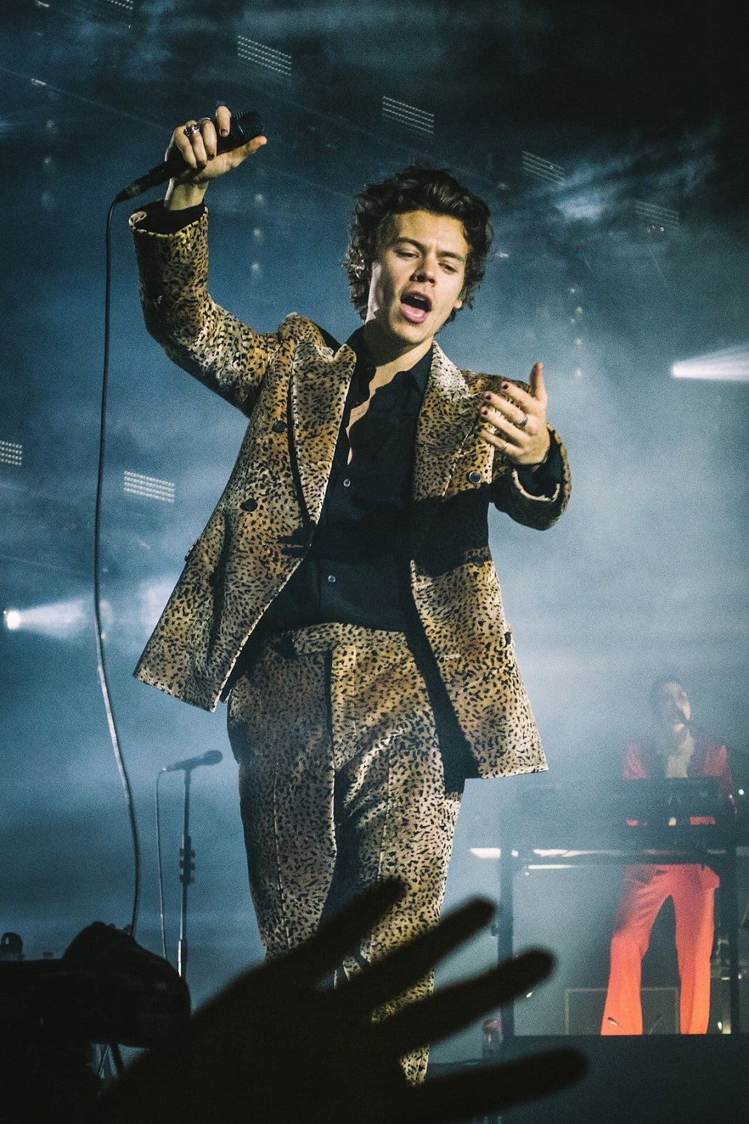 Leopard Print Suit and Black Shirt Leopard Print Suit and Black Shirt — Harry Styles Outfits
