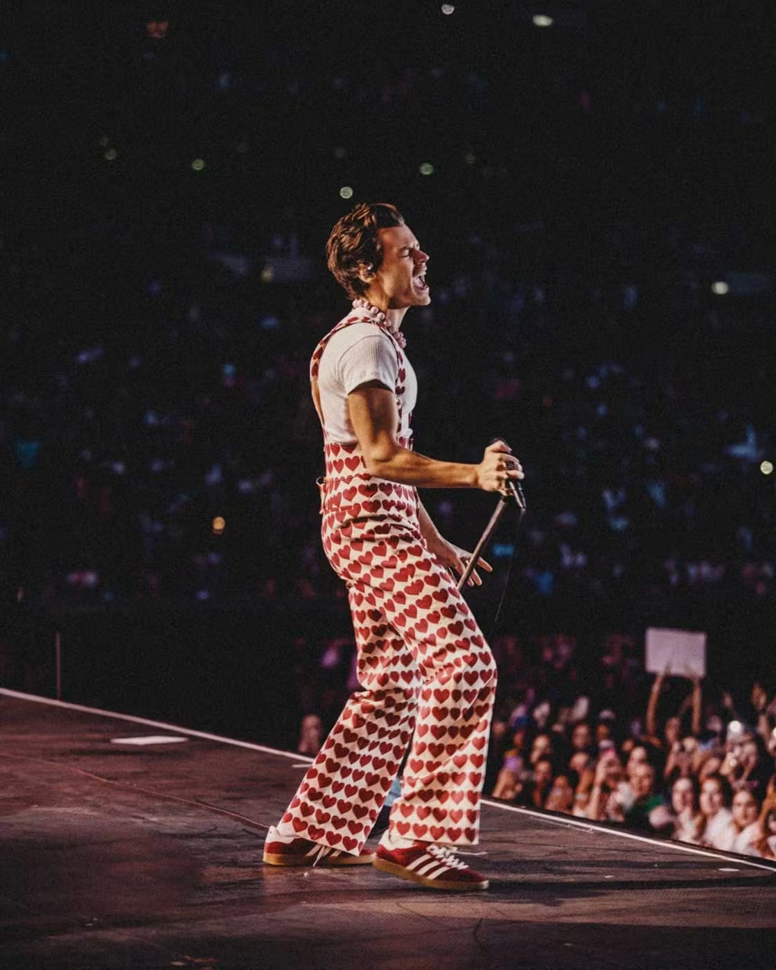 Heart Print Overalls and White T-Shirt Heart Print Overalls and White T-Shirt — Harry Styles Outfits