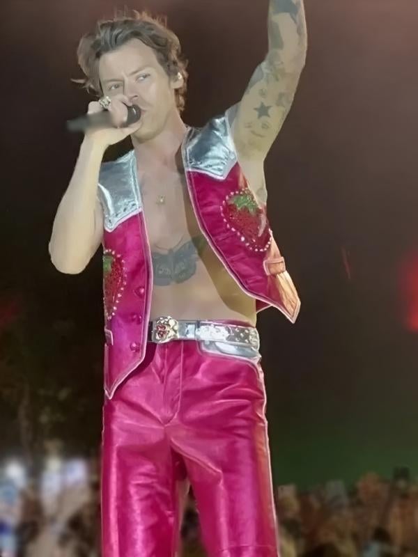 Hot Pink Sequined Vest and Trousers Hot Pink Sequined Vest and Trousers — Harry Styles Outfits