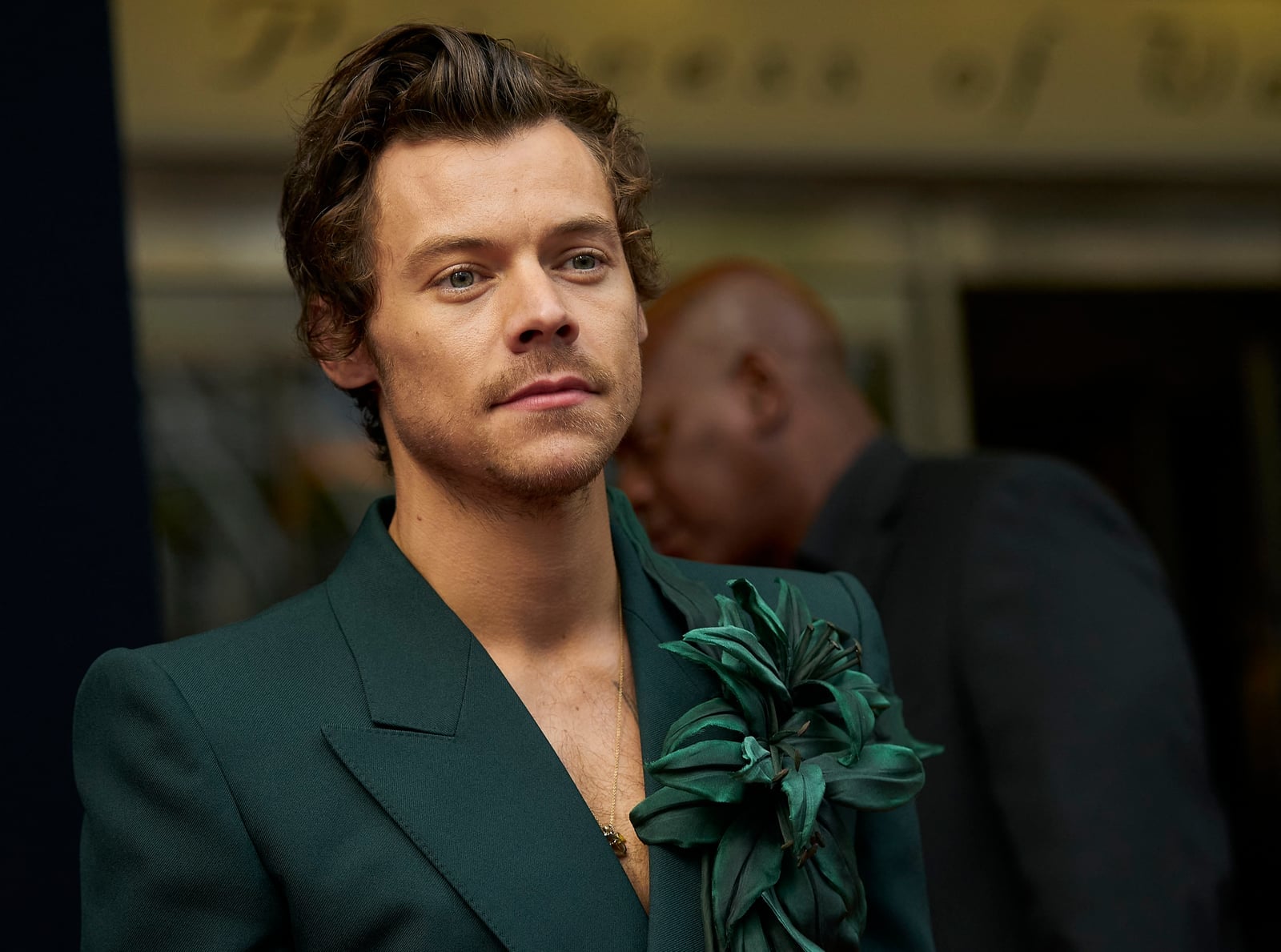Dark Green Suit with Floral Applique Dark Green Suit with Floral Applique — Harry Styles Outfits