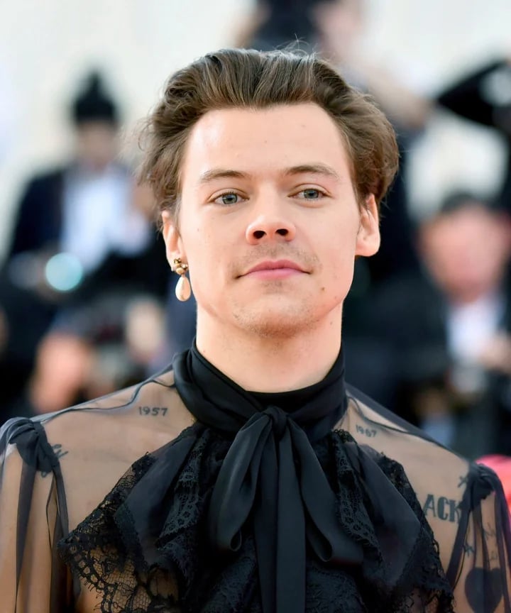 Sheer Black Ruffled Blouse with Lace Trim Sheer Black Ruffled Blouse with Lace Trim — Harry Styles Outfits