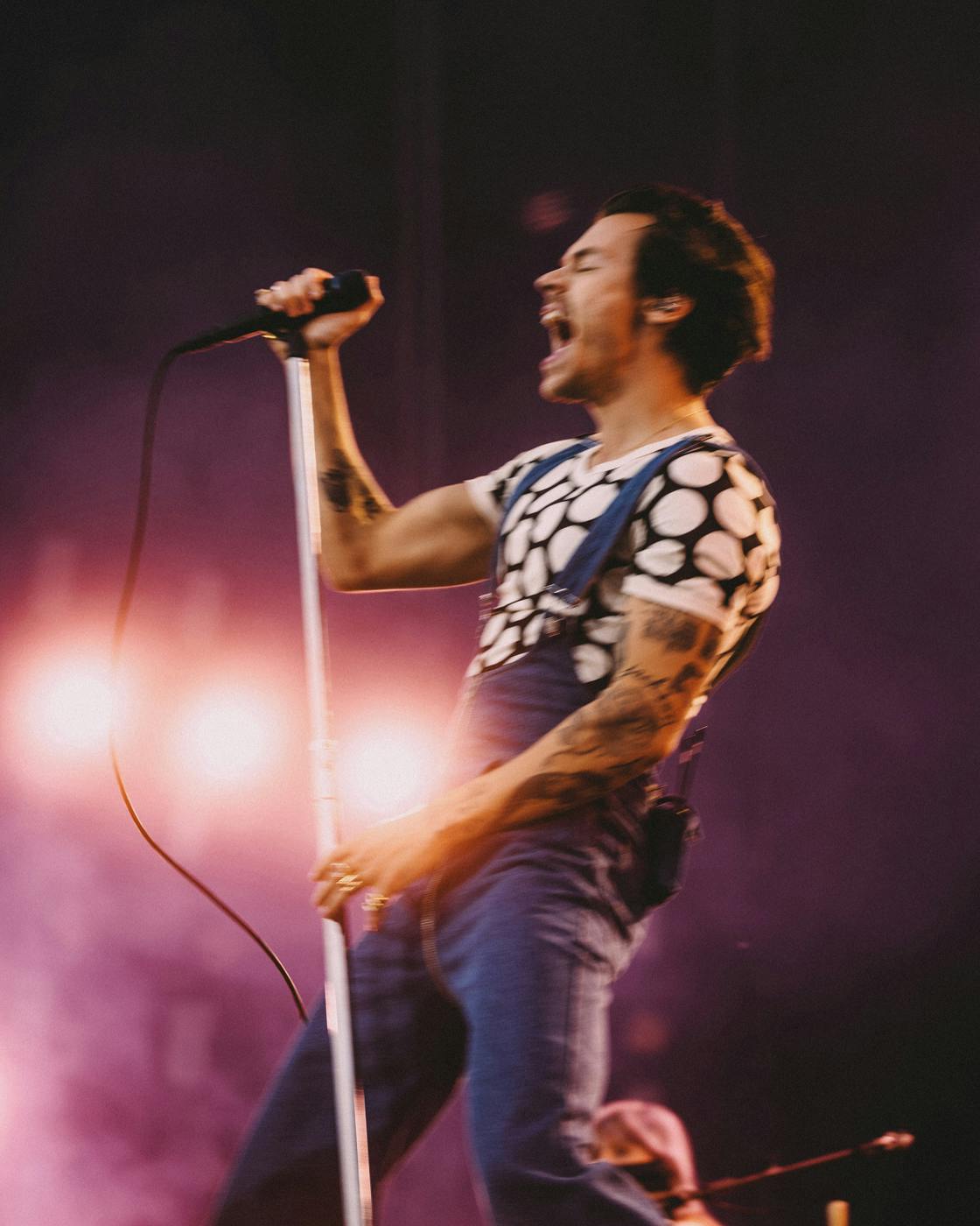 Polka Dot T-Shirt and Denim Overalls Polka Dot T-Shirt and Denim Overalls — Harry Styles Outfits