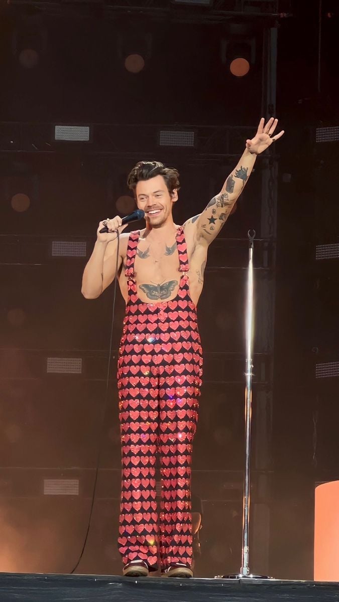 Red Sequined Heart-Print Overalls Red Sequined Heart-Print Overalls — Harry Styles Outfits
