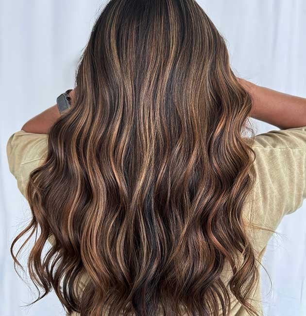 Mid-Back Dark Brown With Fine Caramel and Honey Highlights Mid-Back Dark Brown With Fine Caramel and Honey Highlights — Highlights on Dark Hair