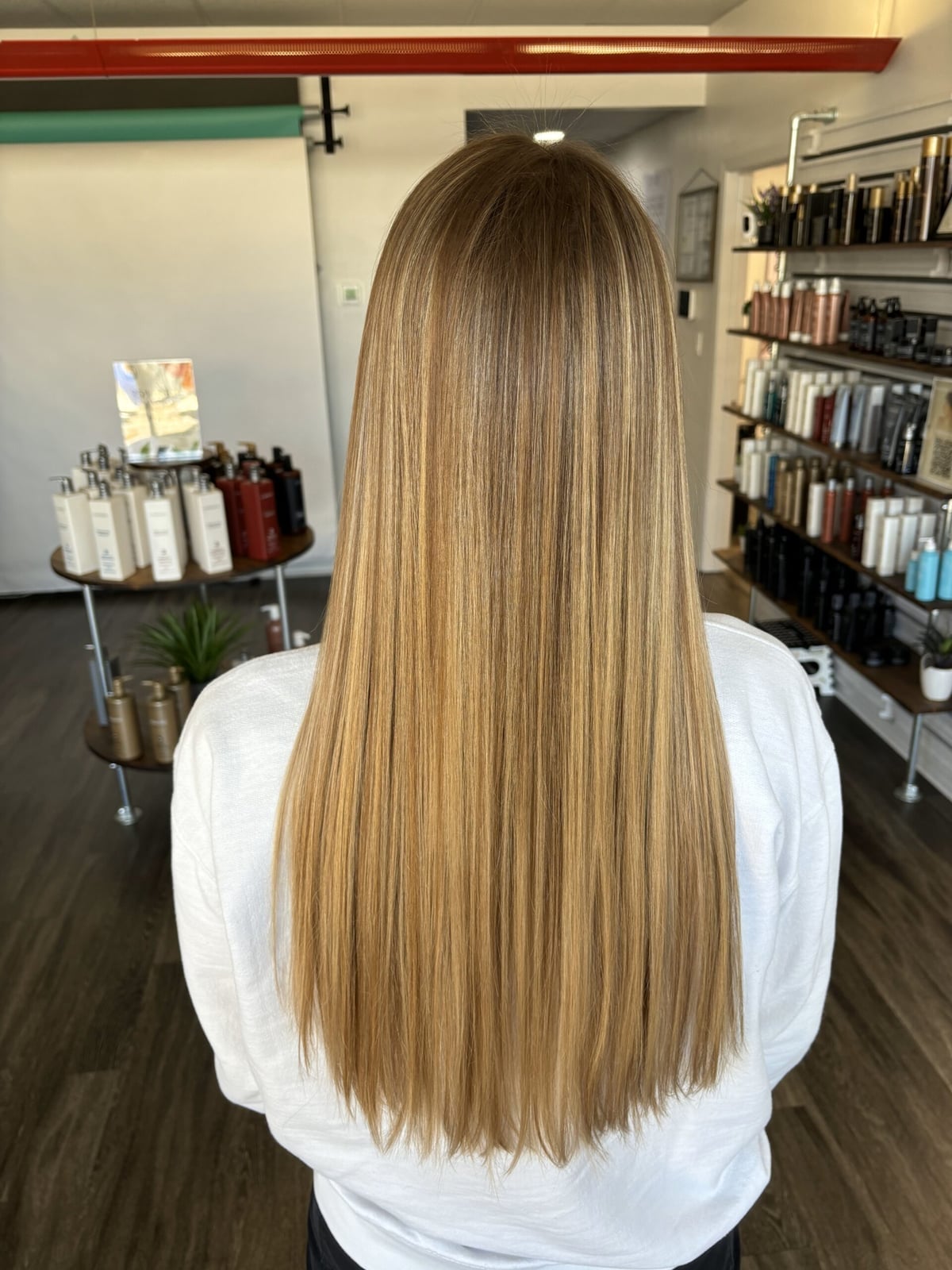 Mid-Back Straight Honey Blonde With Highlights Mid-Back Straight Honey Blonde With Highlights