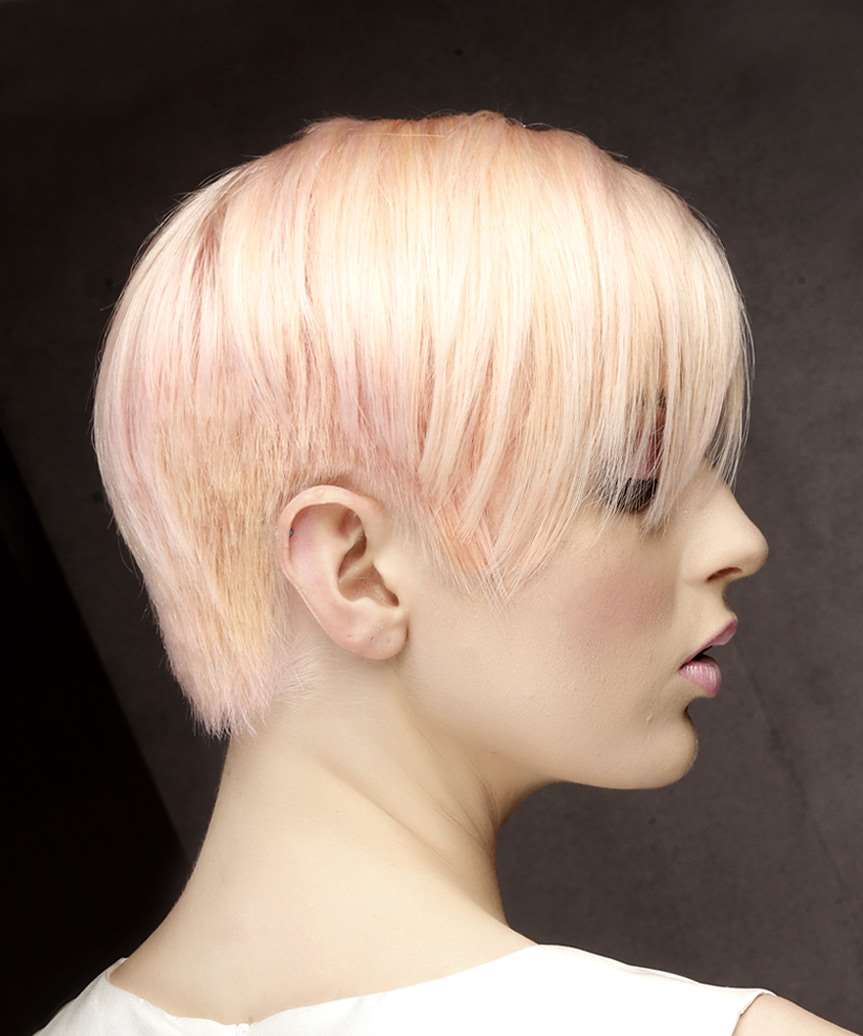 Asymmetrical Pixie With Pink Undertones Asymmetrical Pixie With Pink Undertones — Long Pixie
