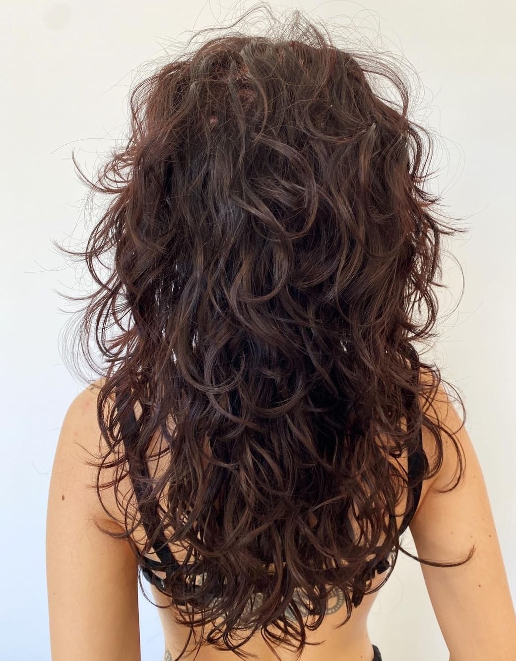 Mid-Back Dark Brown Curly Shag Back View Mid-Back Dark Brown Curly Shag Back View — Long Shag