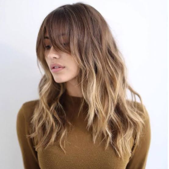 Collarbone Warm Brown Shag With Balayage Collarbone Warm Brown Shag With Balayage — Long Shag