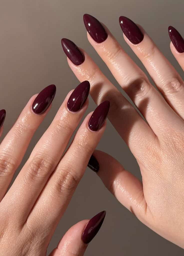 Medium Oval Deep Glossy Maroon Nails Medium Oval Deep Glossy Maroon Nails