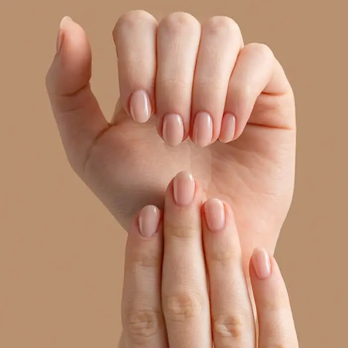 Sheer Nude Glossy Medium Square Nails Sheer Nude Glossy Medium Square Nails — Medium Nails