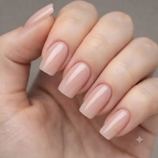Glossy Sheer Nude Medium Square Nails Glossy Sheer Nude Medium Square Nails