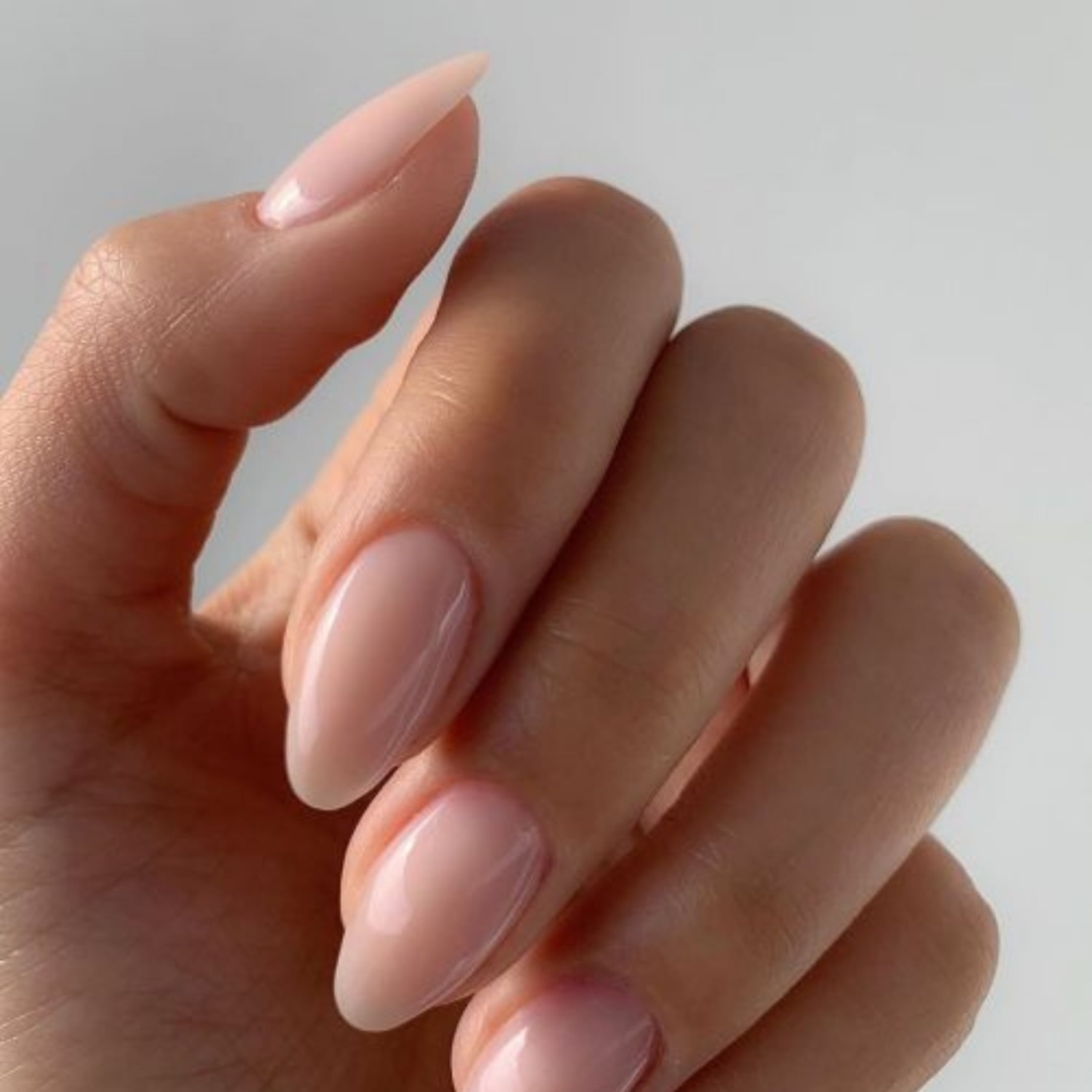 Medium Almond Sheer Milky Nude Nails Medium Almond Sheer Milky Nude Nails — Nail Shapes