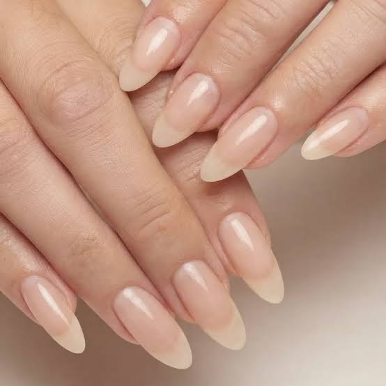 Sheer Nude Long Almond Nails, Highlighting The Shape And Color Sheer Nude Long Almond Nails, Highlighting The Shape And Color — Natural Nails