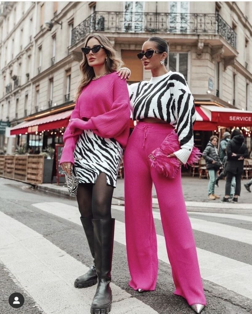 Hot Pink Knit Sweater with Zebra Skirt Hot Pink Knit Sweater with Zebra Skirt — Photoshoot Outfits