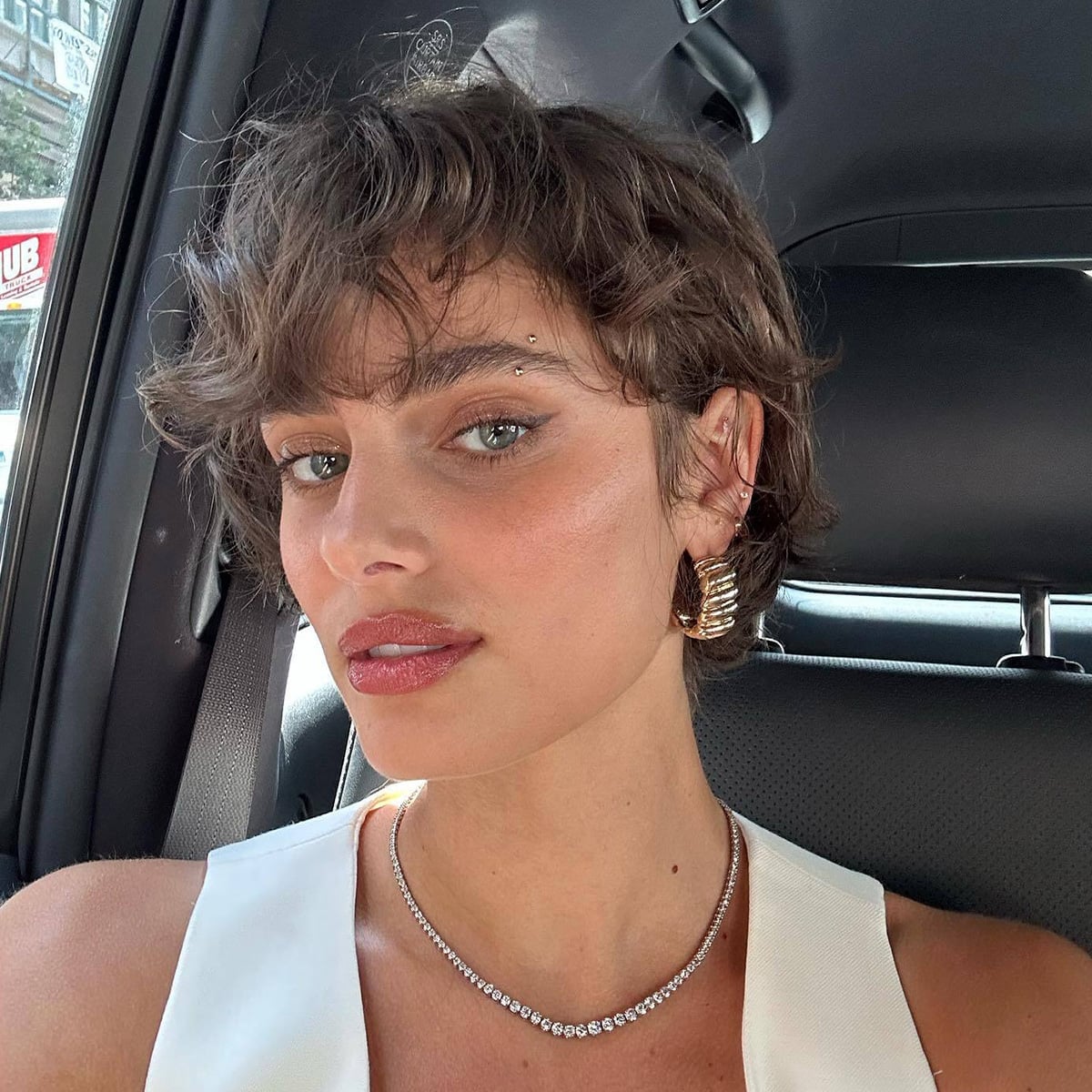 Air-Dried Dark Brown Pixie Bob Air-Dried Dark Brown Pixie Bob