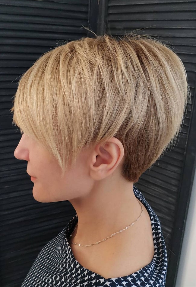 Blonde Graduated Pixie Bob Blonde Graduated Pixie Bob