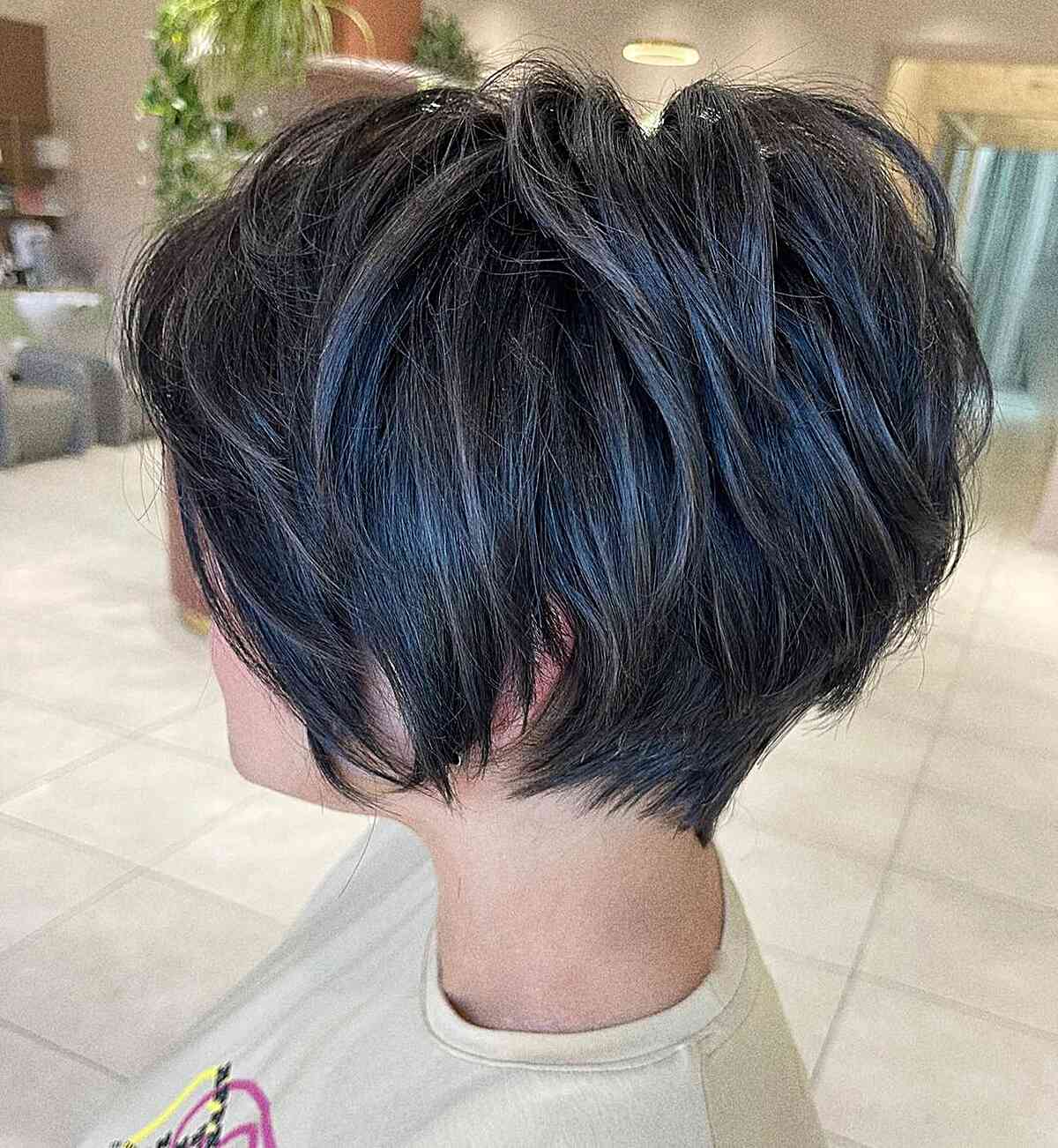 Sleek Dark Brown Pixie Bob Sleek Dark Brown Pixie Bob