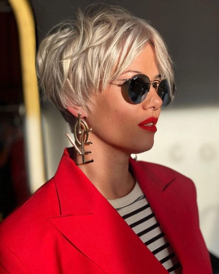 Platinum Blonde Pixie Bob Platinum Blonde Pixie Bob