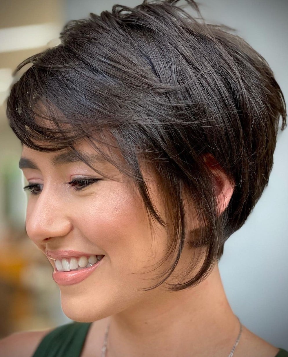 Smooth Dark Brown Chin Bob Smooth Dark Brown Chin Bob — Pixie Bob