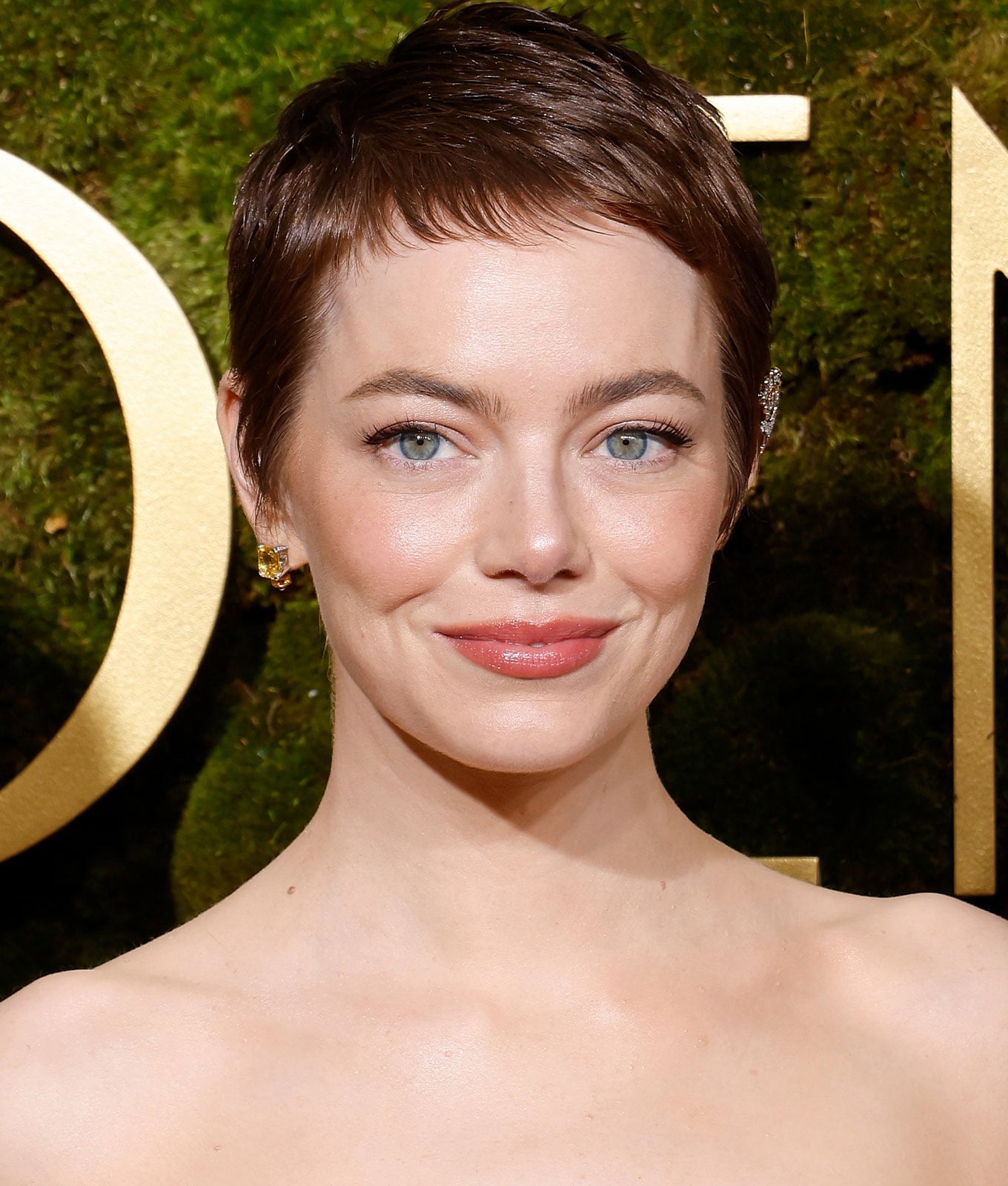 Light Brown Pixie With Textured Crown Light Brown Pixie With Textured Crown — Pixie Cut