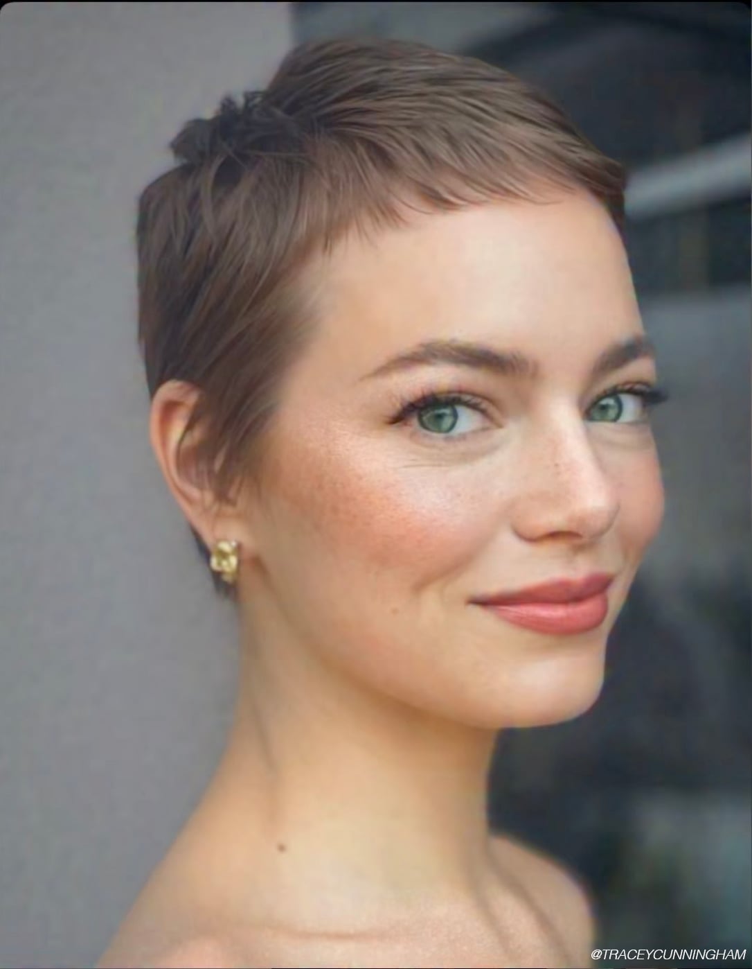 Light Brown Pixie With Wispy Bangs Light Brown Pixie With Wispy Bangs — Pixie Hair