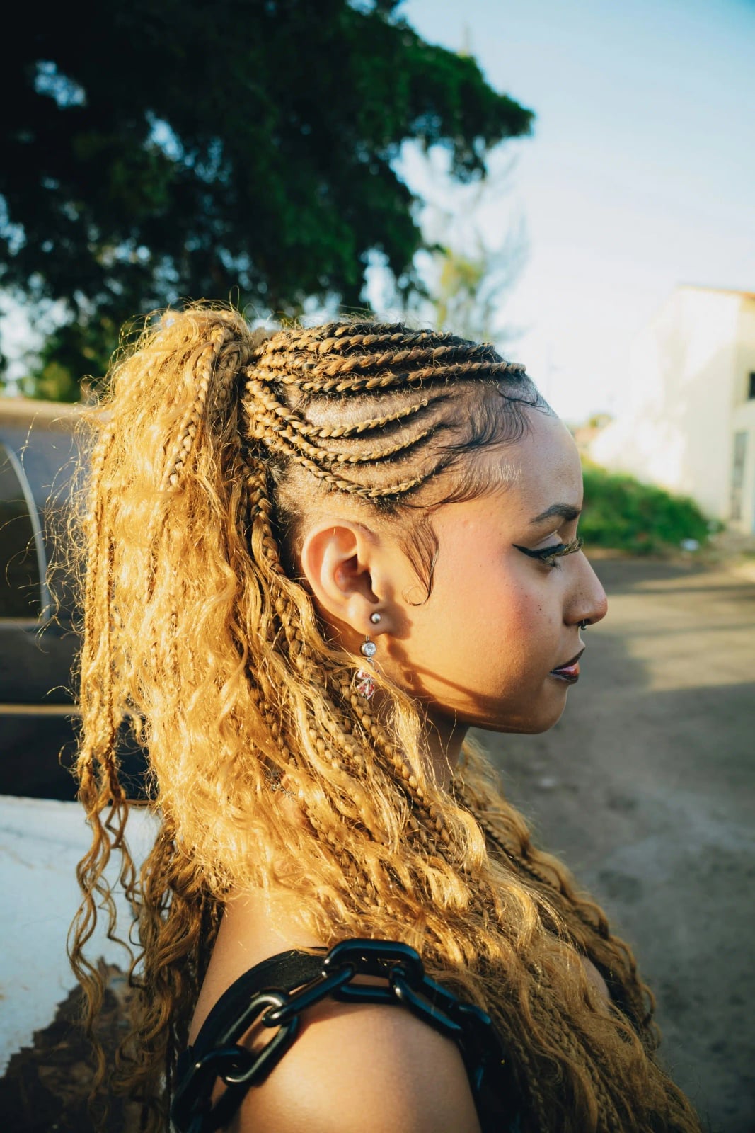 Honey Blonde Braids In A High Ponytail Honey Blonde Braids In A High Ponytail — Quick Braids Hairstyle