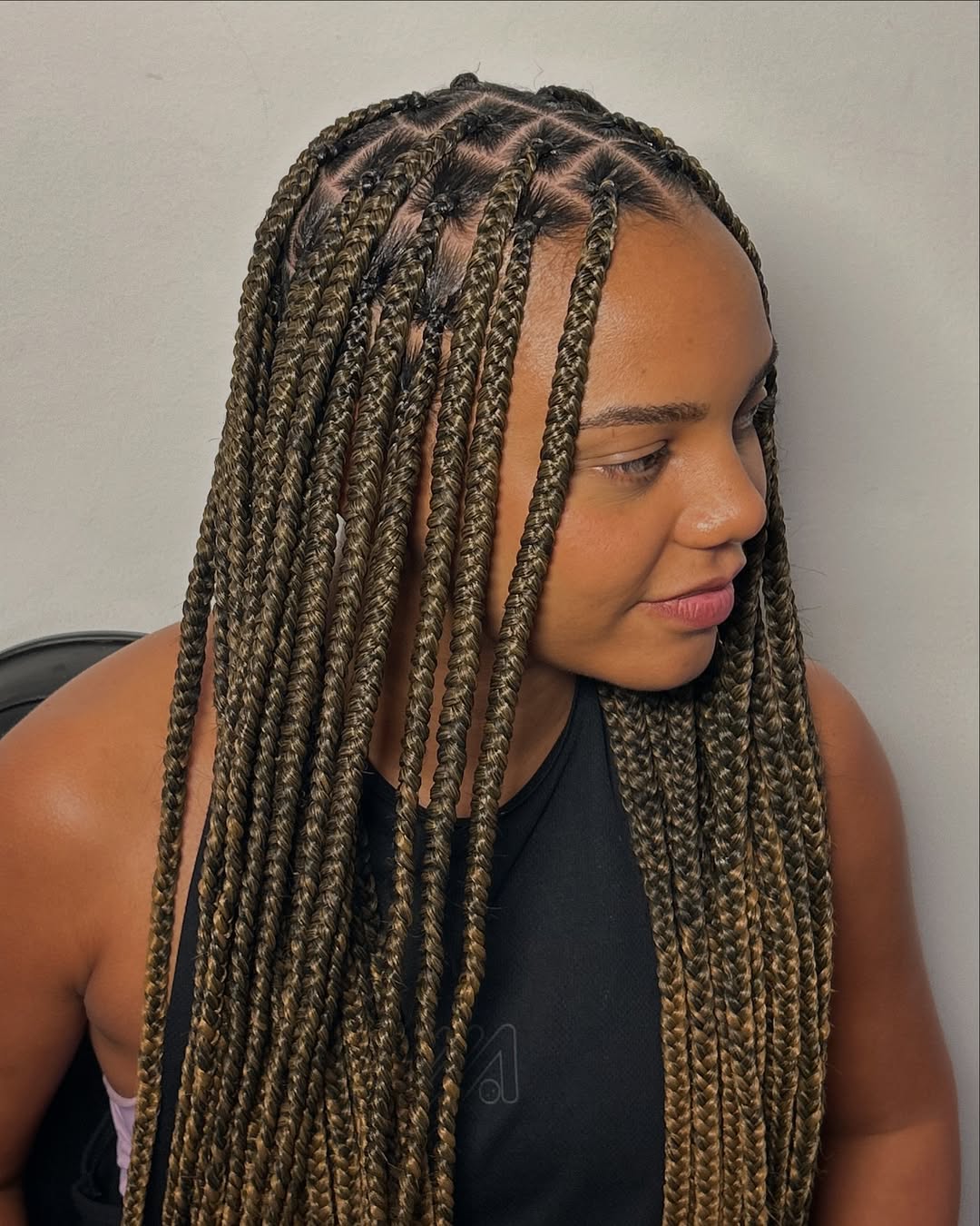 Brown And Blonde Box Braids Brown And Blonde Box Braids — Quick Braids Hairstyle
