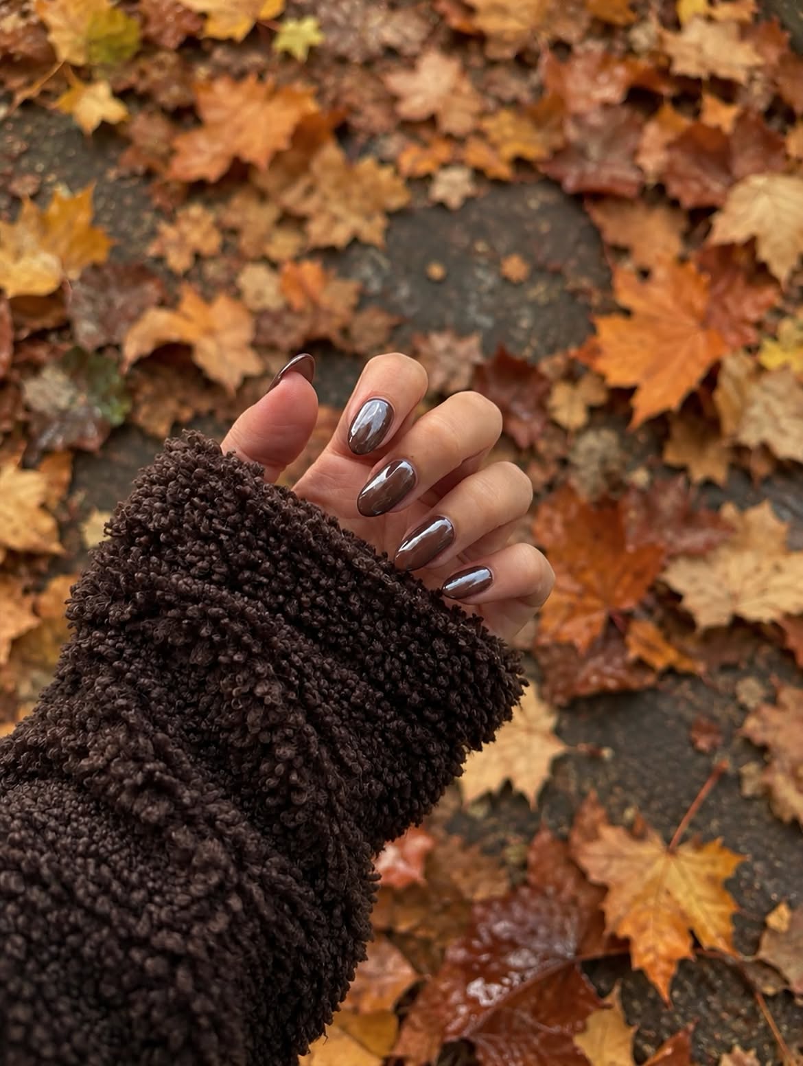 Rich Chocolate Chrome Almond Nails