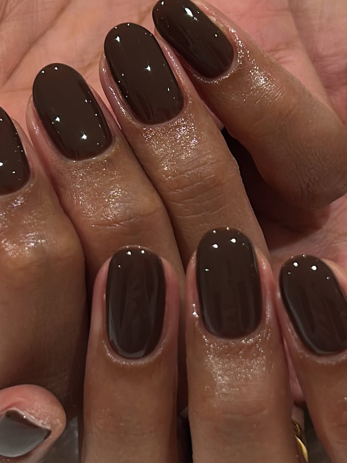 Rich Dark Chocolate Glossy Oval Nails