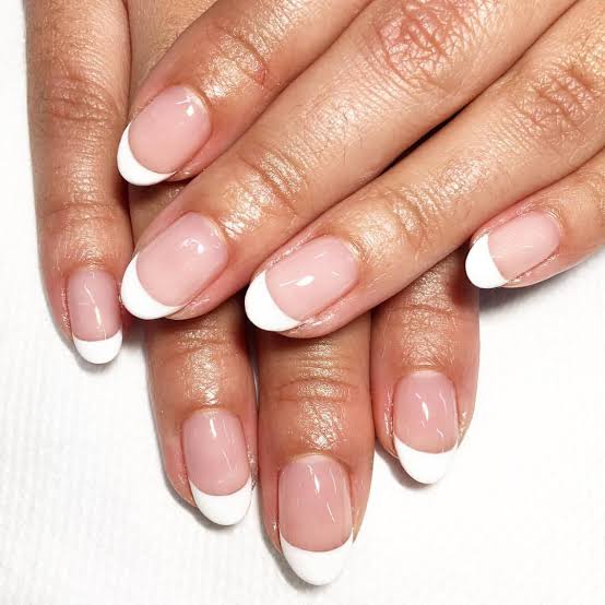 Opaque White French Short Round Nails Opaque White French Short Round Nails