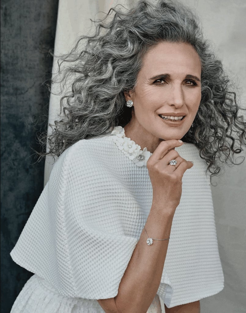 Collarbone Gray Shag With Voluminous Curls Collarbone Gray Shag With Voluminous Curls — Shag Haircut