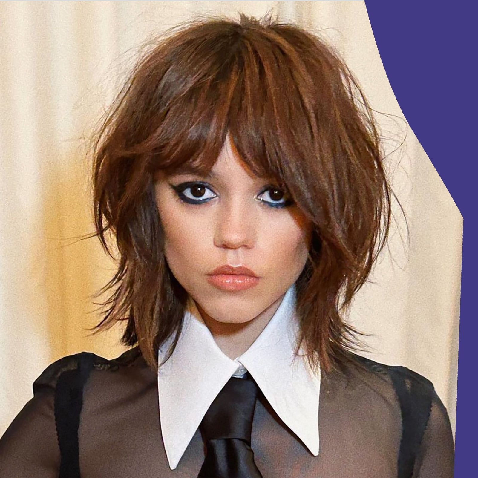 Chin-Length Dark Brown Shaggy Bob Chin-Length Dark Brown Shaggy Bob