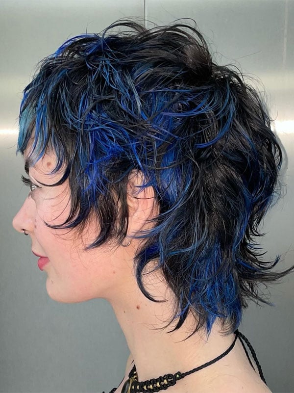 Black Shag With Blue Streaks Black Shag With Blue Streaks — Short Shag