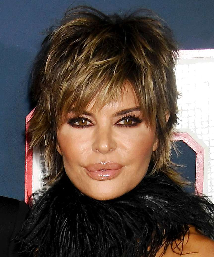 Dark Brown Shag With Blonde Highlights, Chin Dark Brown Shag With Blonde Highlights, Chin — Short Shag