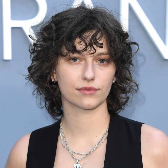 Collarbone Wolf Cut With Honey Blonde Highlights Collarbone Wolf Cut With Honey Blonde Highlights — Short Wolf Cut