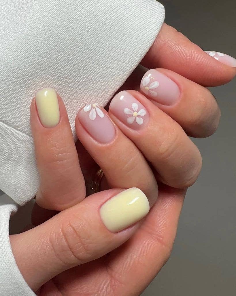Sheer Pink Short Square With Daisy Art Sheer Pink Short Square With Daisy Art — Simple Short Nails