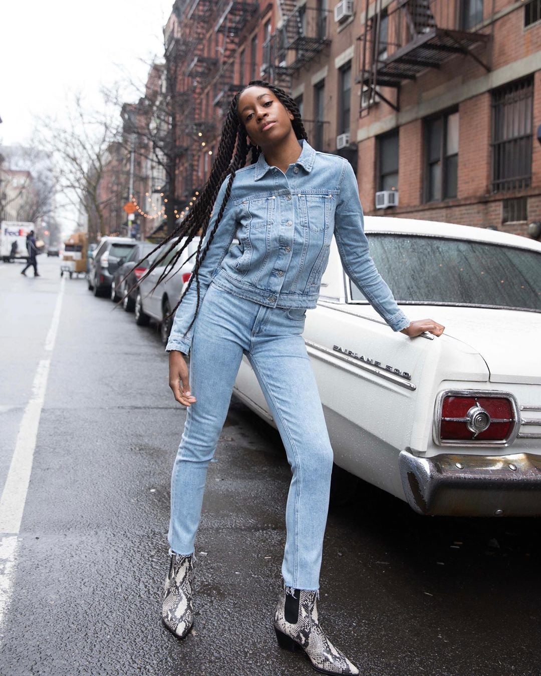 Light Wash Skinny Jeans With a Matching Denim Jacket Light Wash Skinny Jeans With a Matching Denim Jacket — Skinny Jeans Outfits