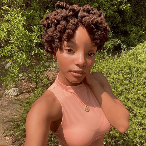Loose Shoulder-Length Dark Brown Starter Locs Loose Shoulder-Length Dark Brown Starter Locs