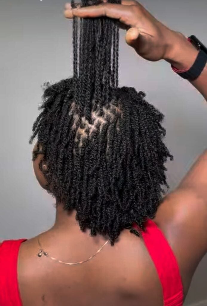 Short Twisted Black Starter Locs Back View Short Twisted Black Starter Locs Back View