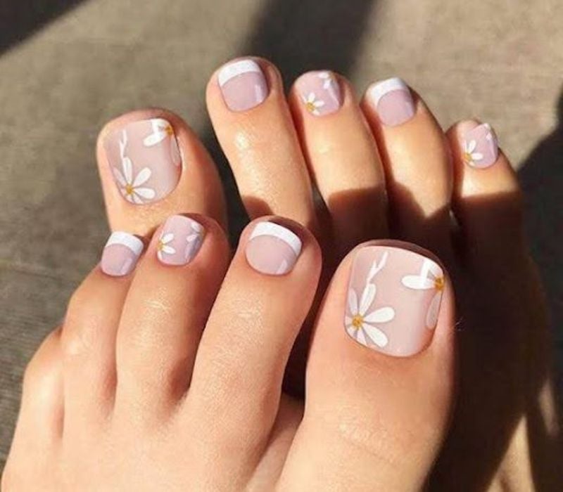 Pale Pink With White Daisy French Tips, Short Square Pale Pink With White Daisy French Tips, Short Square — Toe Nails Designs
