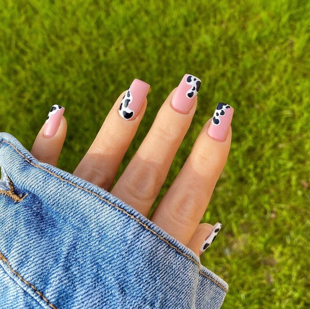 Pink Cow Print Square Nails on Denim Pink Cow Print Square Nails on Denim — Western Nails