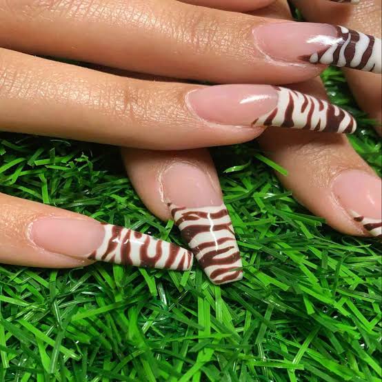 Long Almond Brown Zebra French Tips Long Almond Brown Zebra French Tips — Zebra Nails