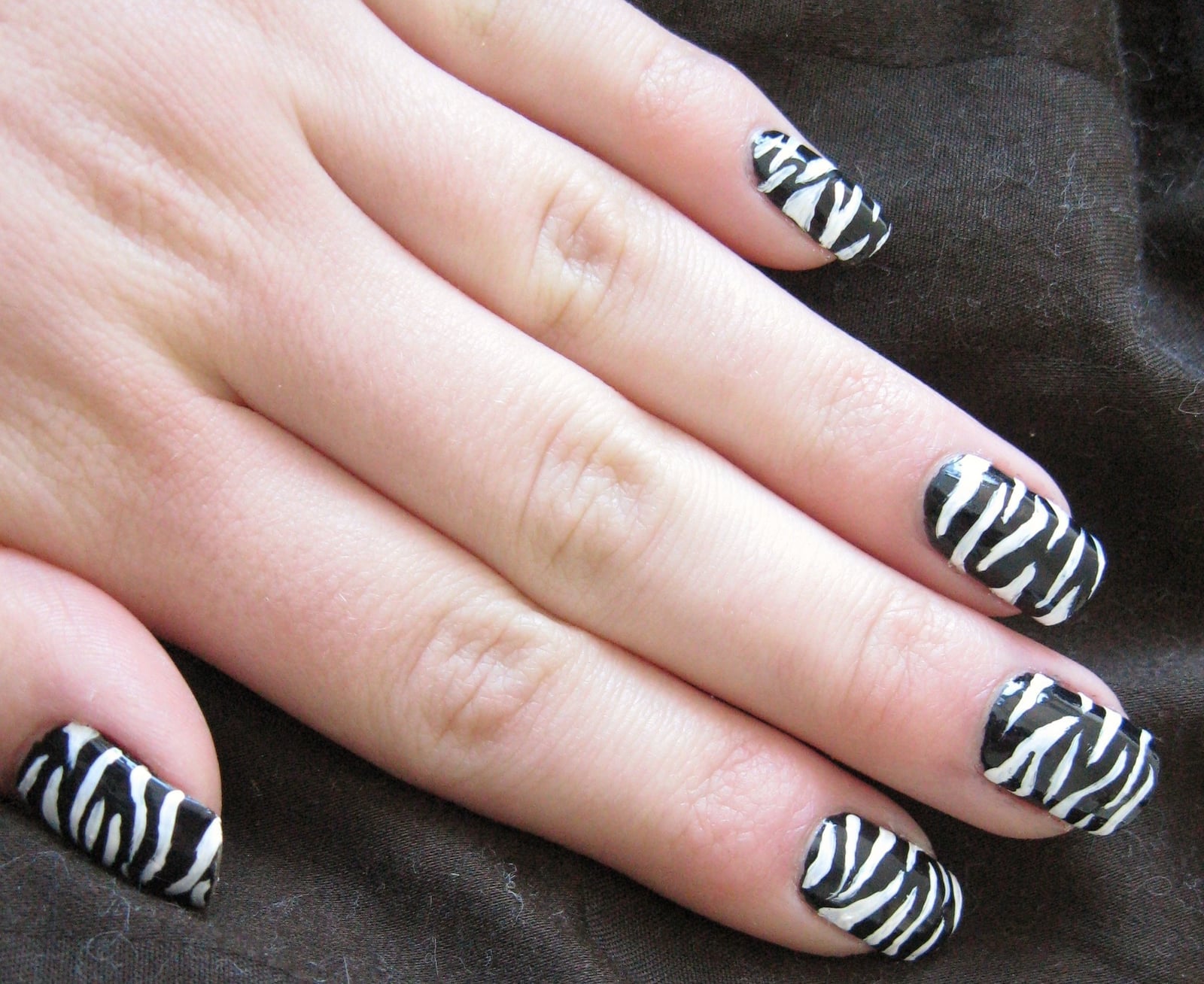 Short Square Full Zebra Print Nails Short Square Full Zebra Print Nails