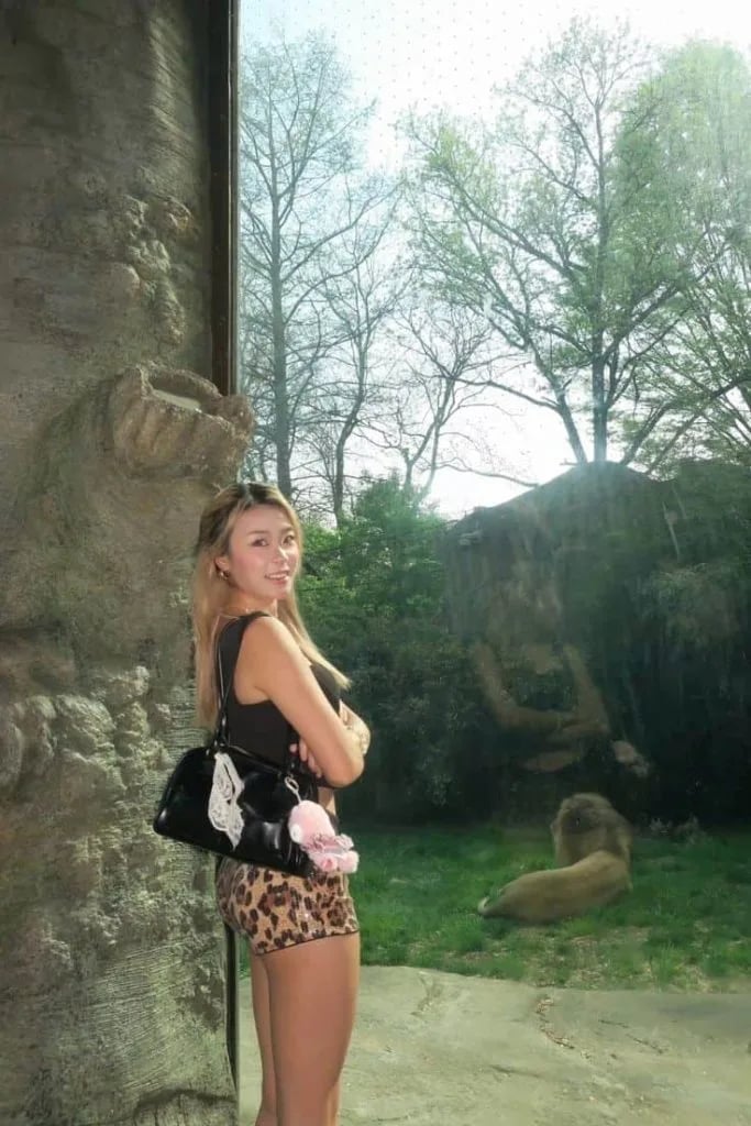 Black top with leopard print shorts Black top with leopard print shorts — Zoo Outfits